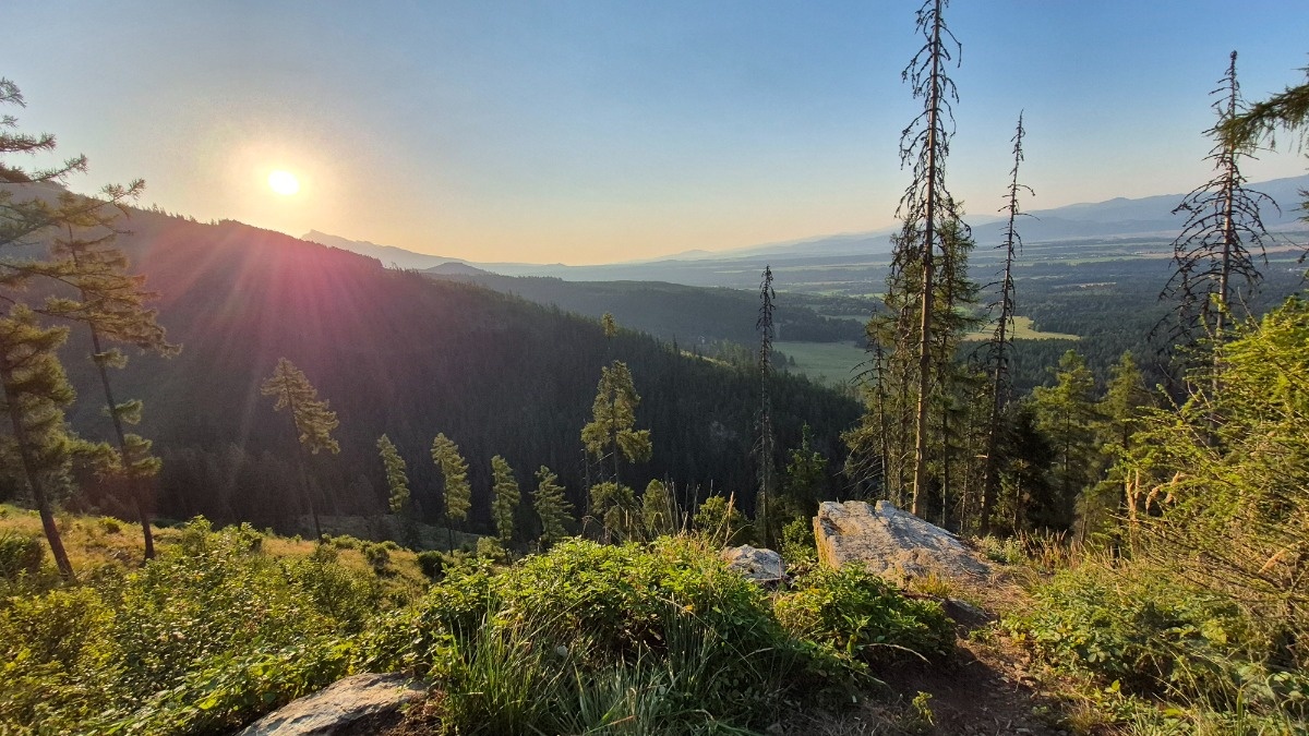 f84ae7e7-6a85-41fc-ba71-21c9f6a9b0a3