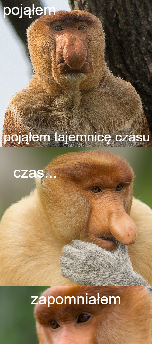 694a3a85-164e-40dc-bce8-549f486f33b8