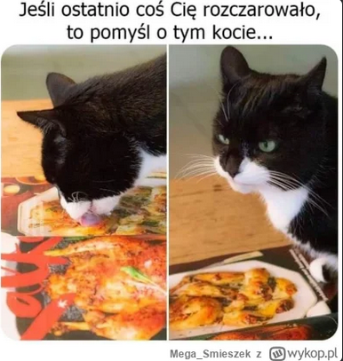 3b064a87-a890-4262-a71c-e2892663bbe6