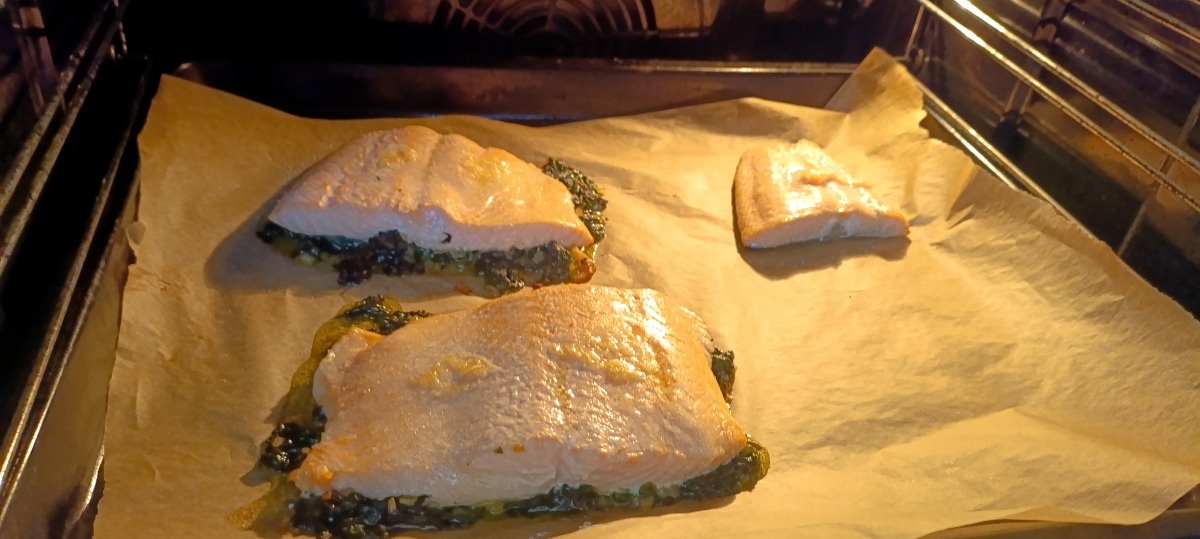 232a5925-0274-4df2-a0db-a565d7293dd5