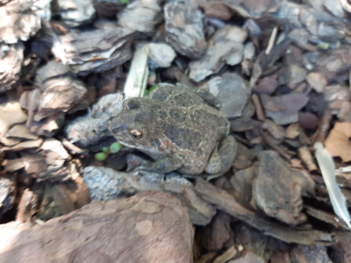 4846c50b-c0e5-4267-a199-961d6fe396ca