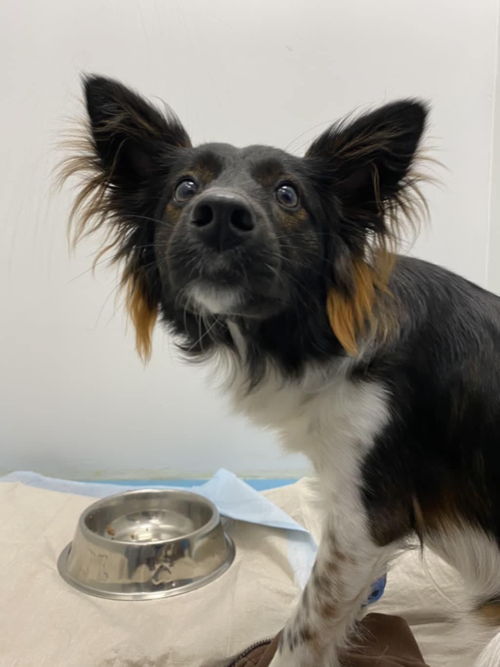 573710fe-f84d-43f0-a198-62c031176d28