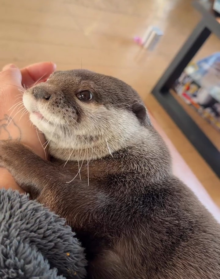 0d938beb-f9ea-4038-8520-efca759ec825