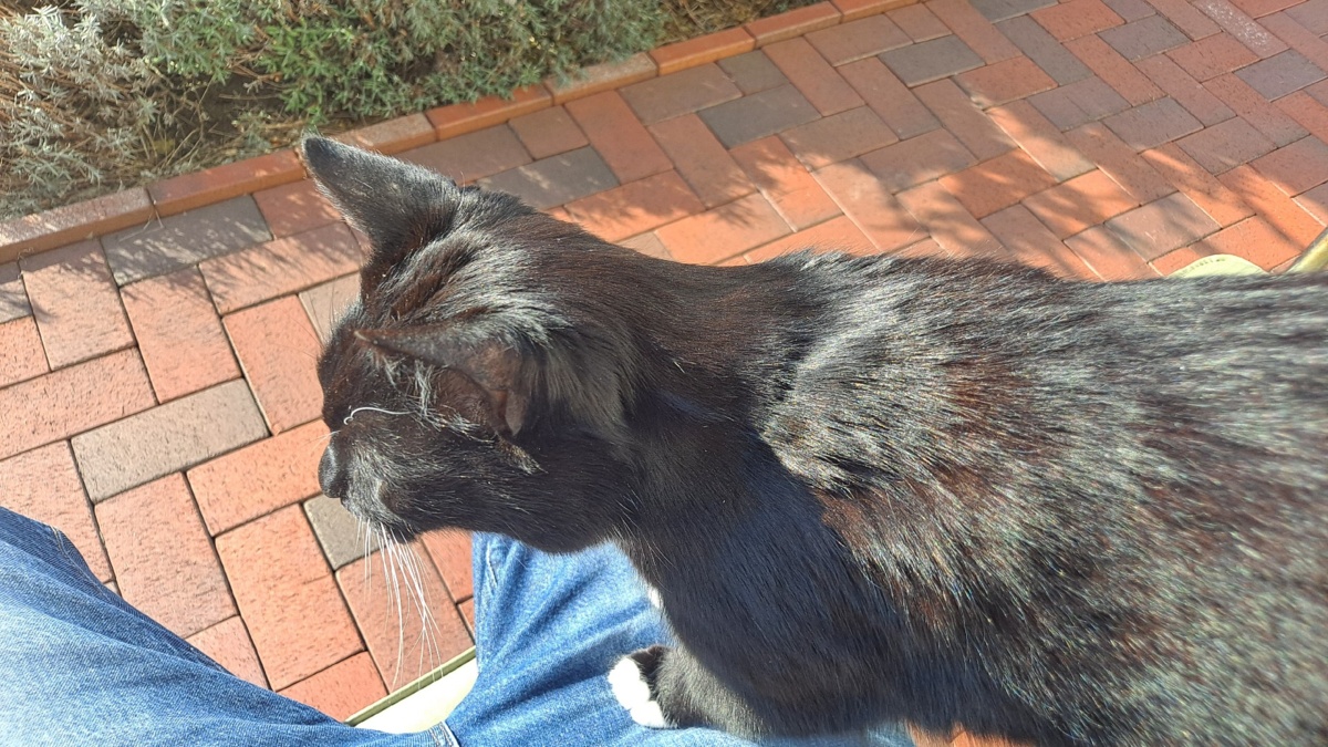 142e9824-336d-4b88-8195-647f3bc1a41c