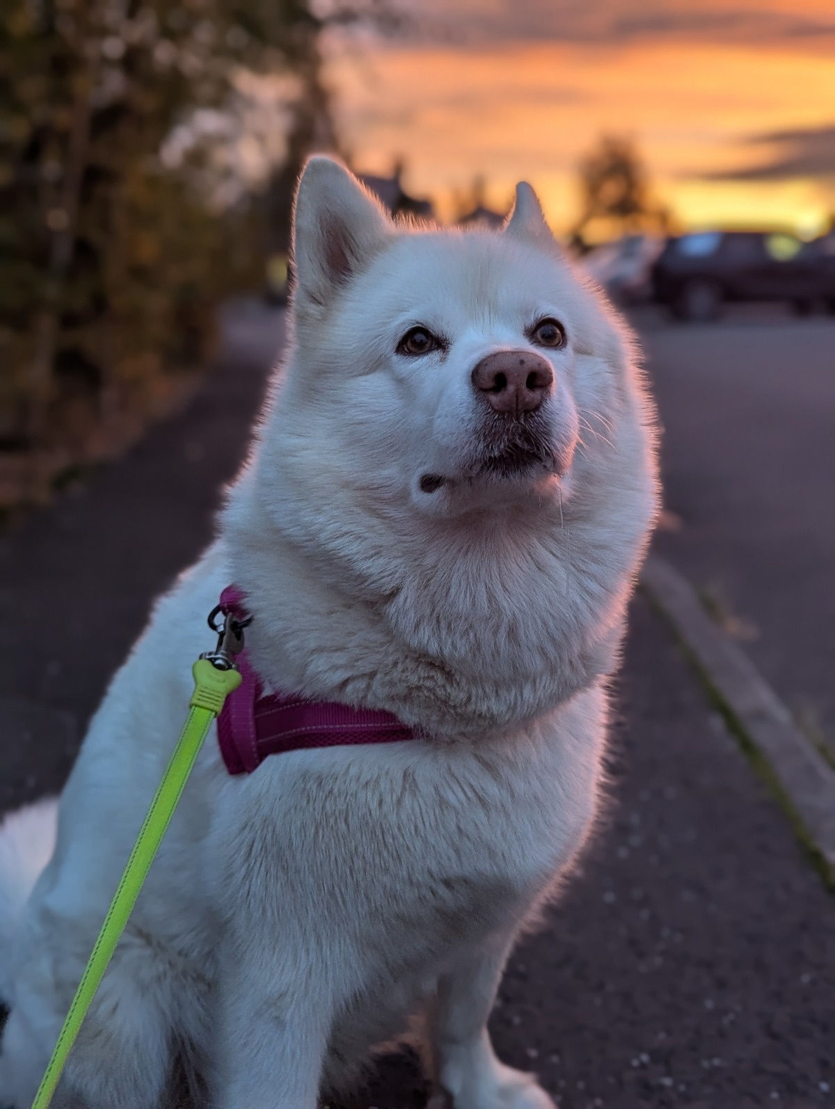 8f2b734e-1696-4d88-a522-b5f3a59e7a01