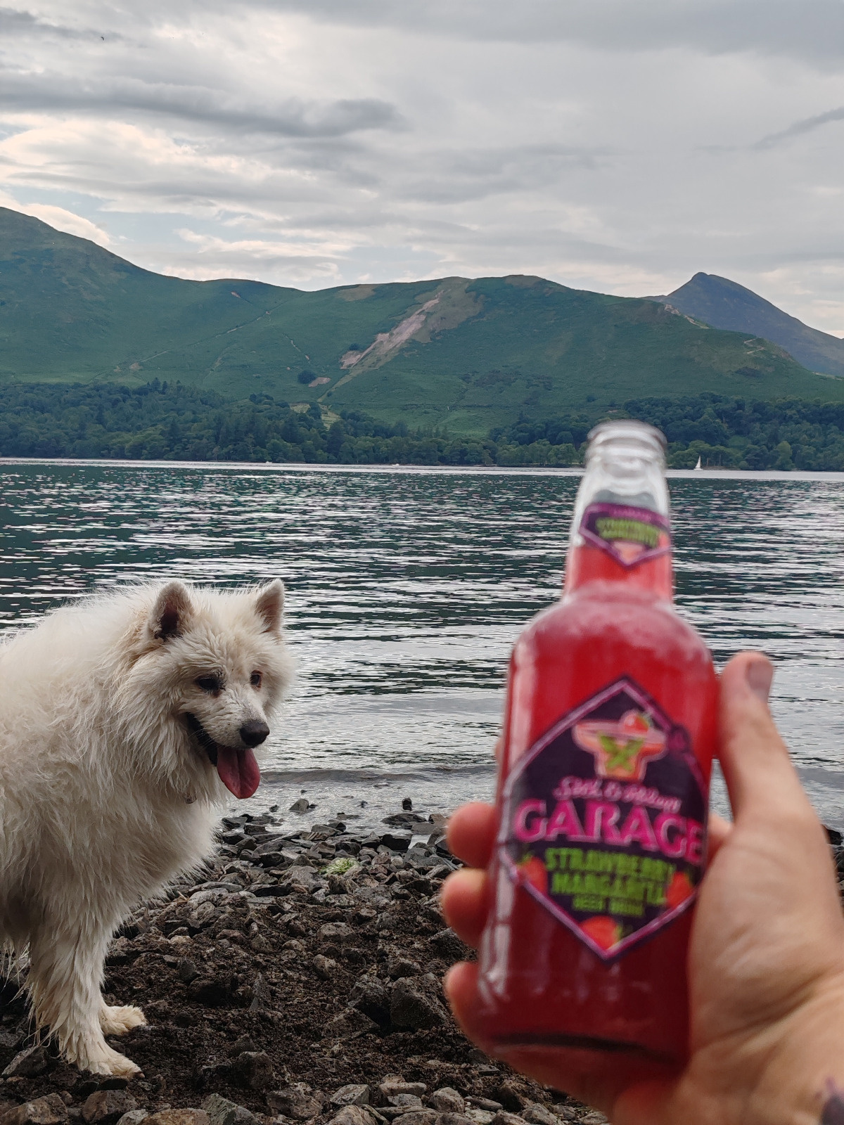 824e5513-da8c-42de-98df-f7ca1e9d3fff