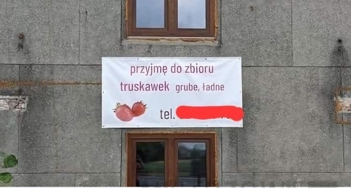 a0c30341-17b9-48b9-86b0-2fe003da6a2c