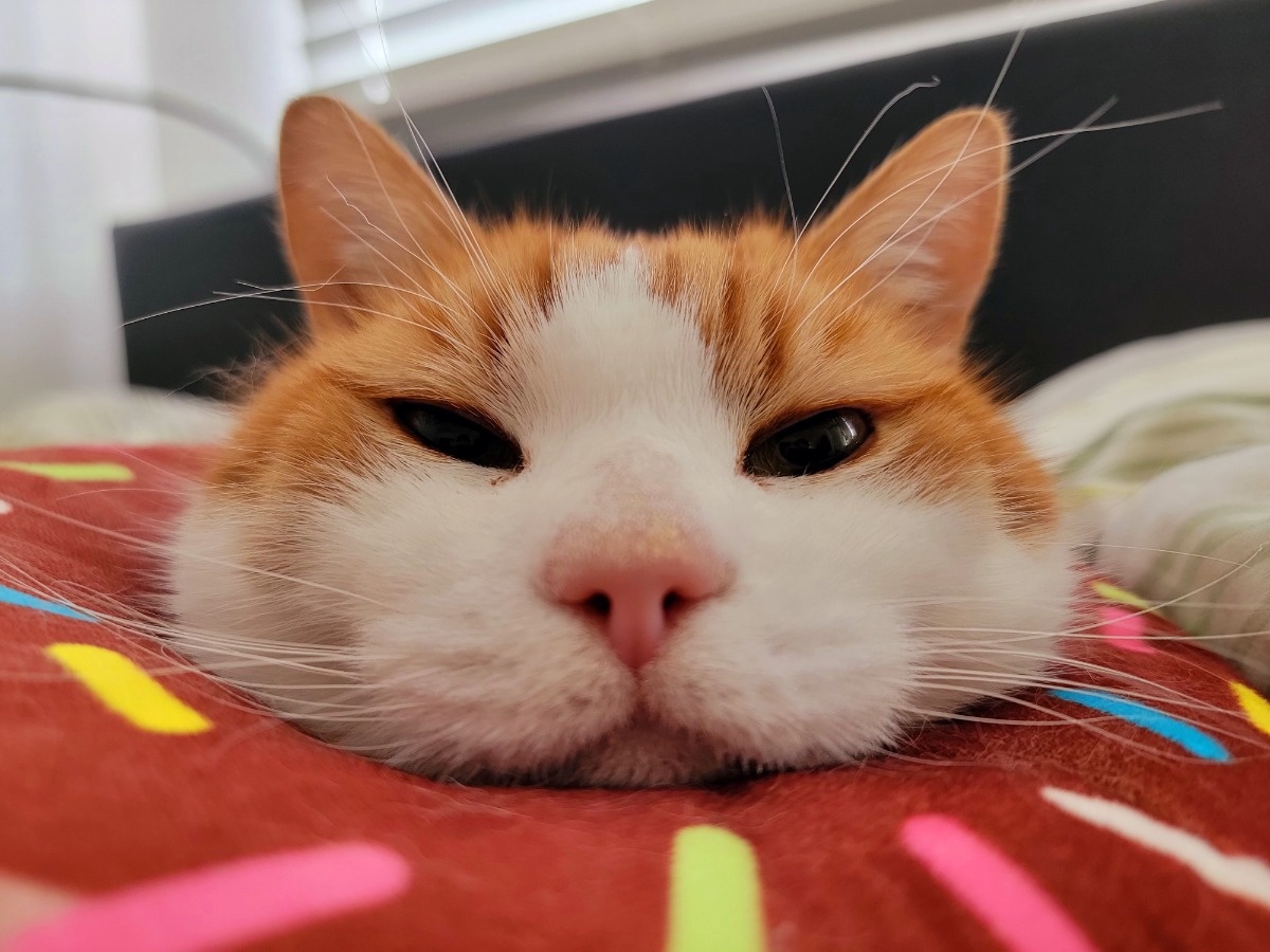 a2bc45e6-f2c2-4952-990d-10b17886e971