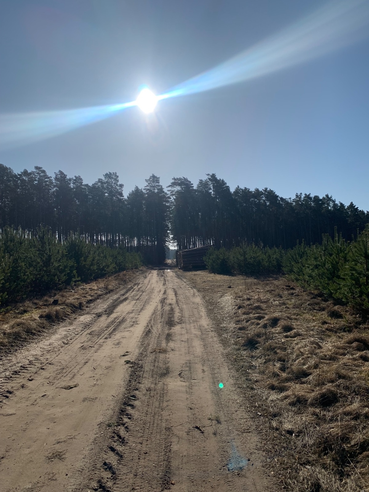 7de01b8d-5bd3-4c62-9b18-a7e7cfd8d27a