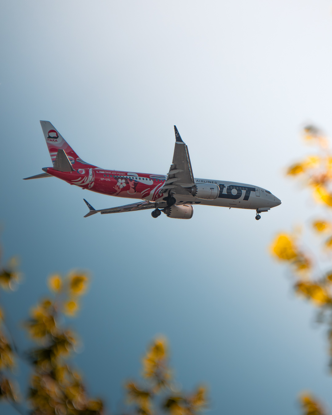 43dc210b-6388-4861-bd68-c14dfc9f7c12