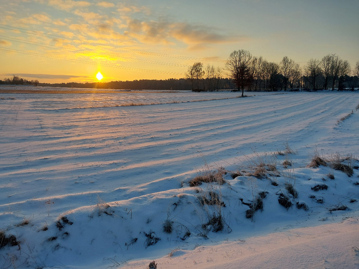 3c0a9c51-ce04-4378-bb4c-ffa4b279a46e