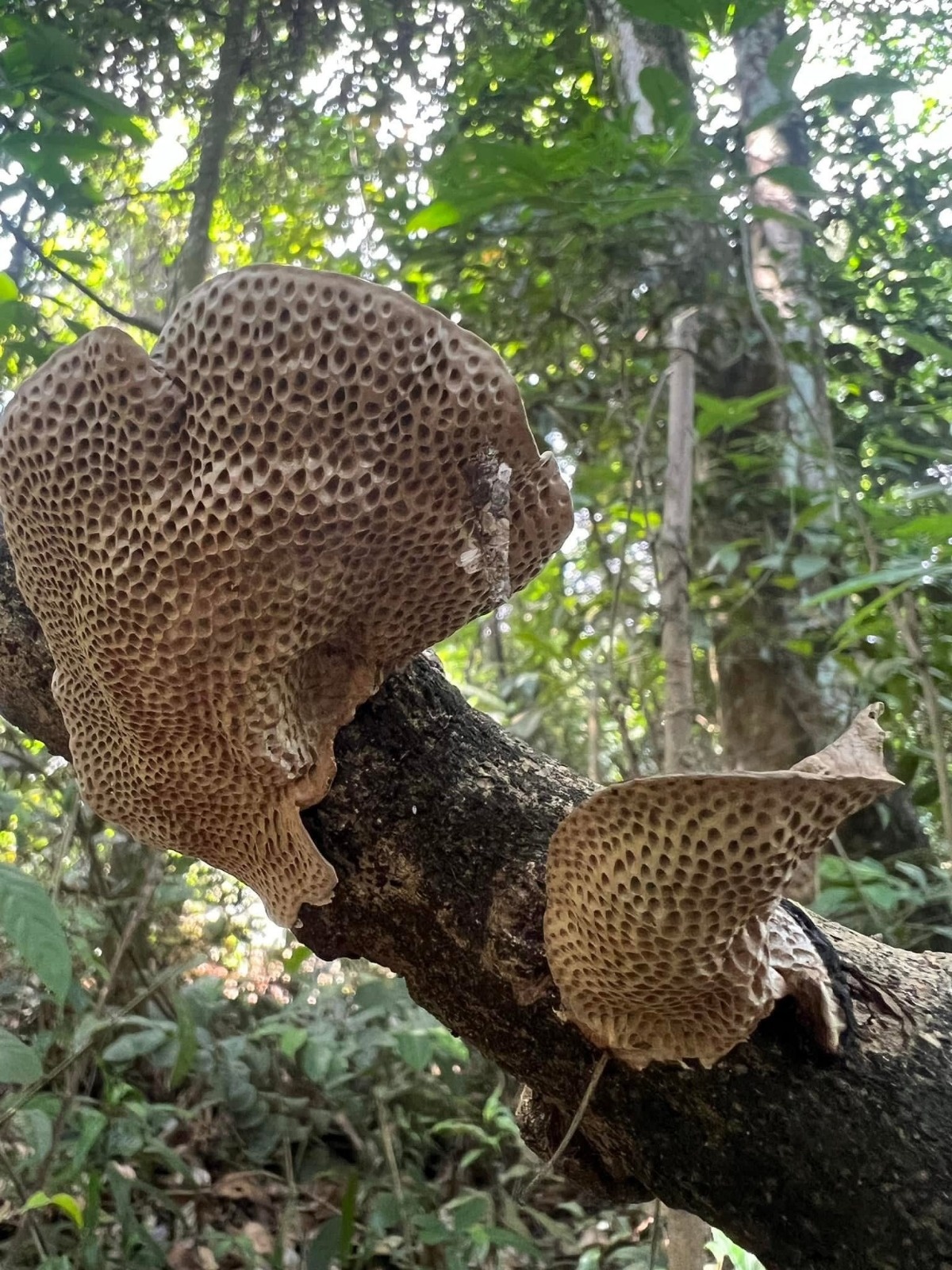 938ab94a-86d0-4d38-9a5e-000634d59606