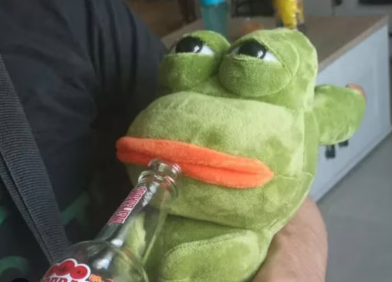 17c6d141-7274-468a-aeb6-b6833343c5ca