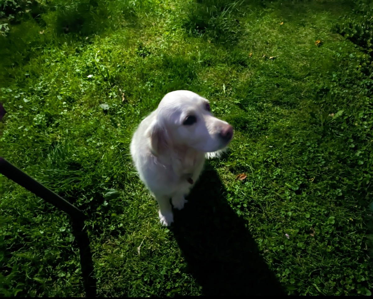 2121c14d-b397-4aaf-9614-53c572070d5a