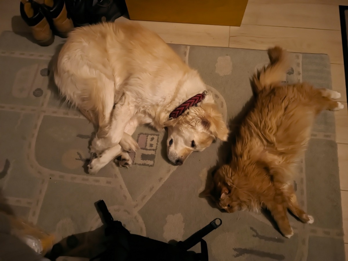 395a5f1e-e884-4280-a9dd-151c61fe7833