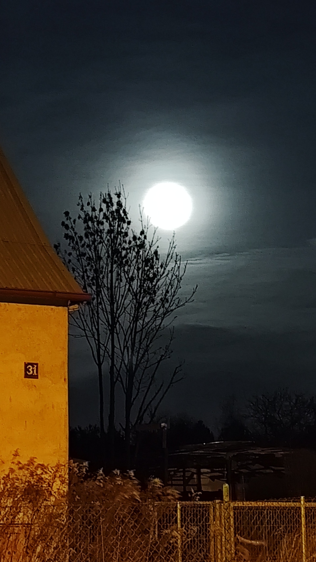 f2636282-516e-4b4b-ab8f-7988bab4e1dc