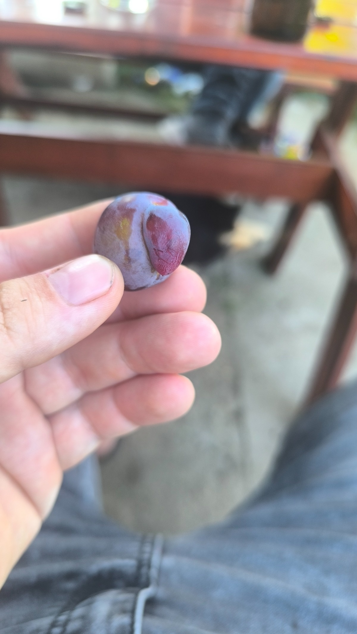 0ab9418c-acd5-44d0-8166-4820e380eaad