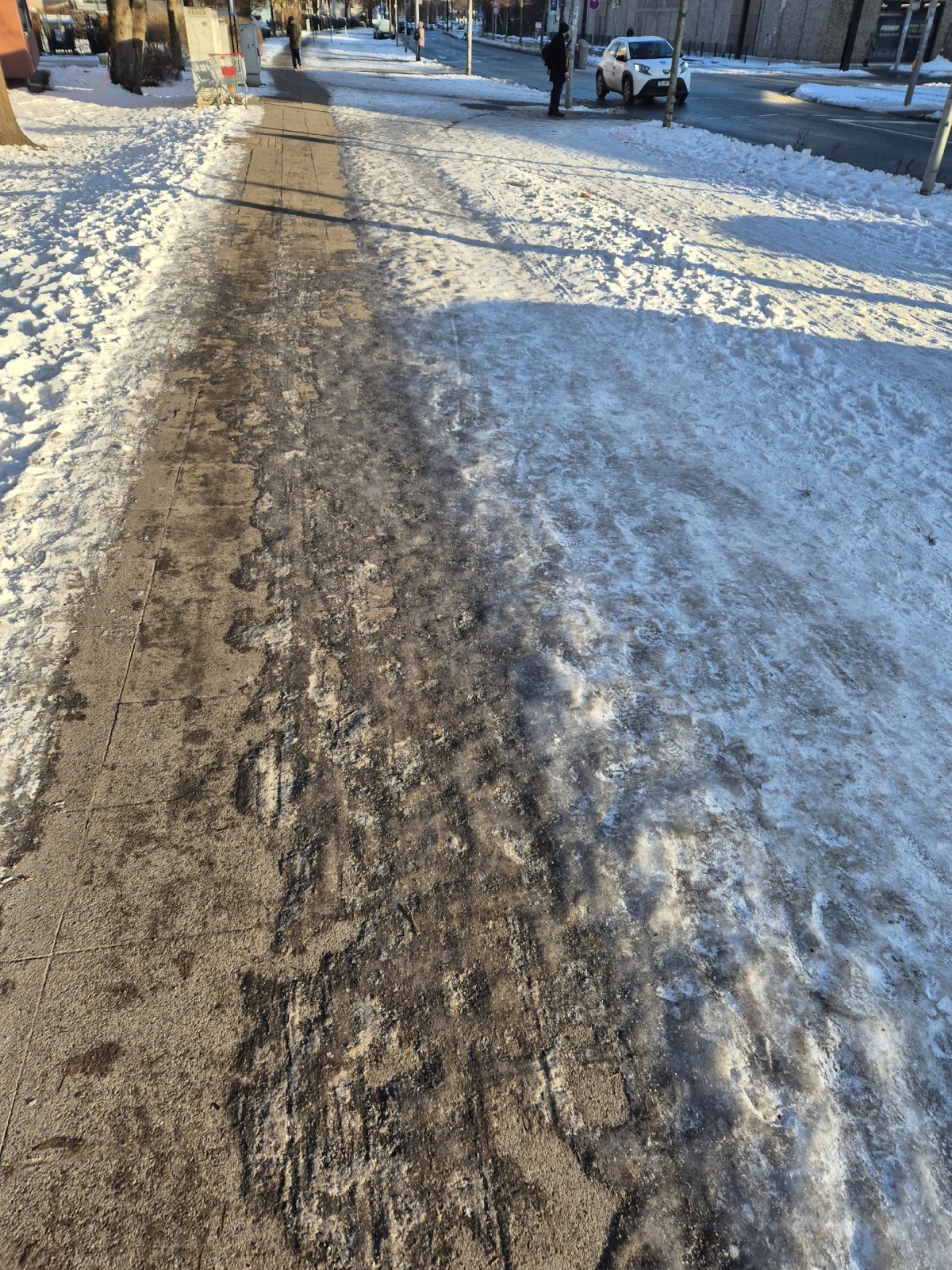 1d49009b-291f-4d15-8363-cd9e8e9ec551