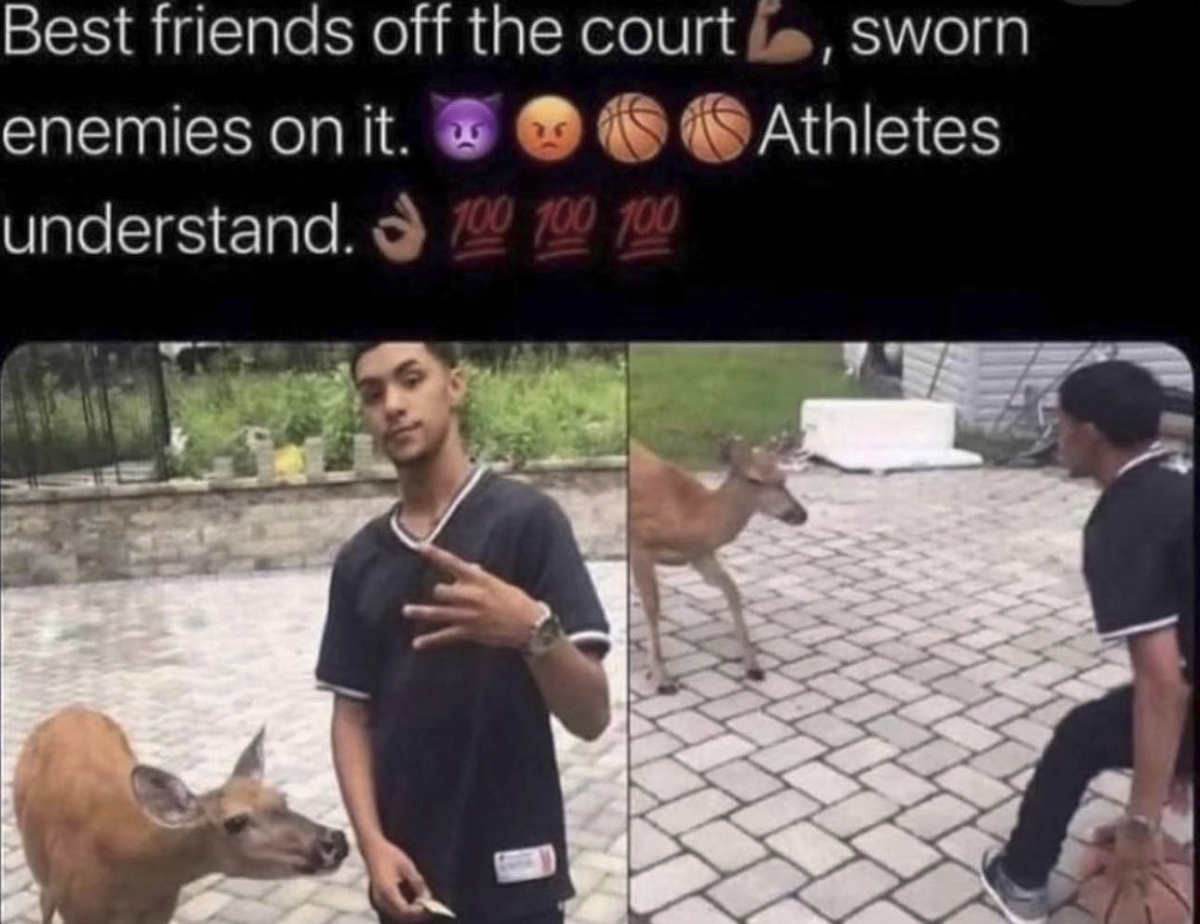 fdf9e392-c7b7-4dab-8e63-69e84eb7df8e