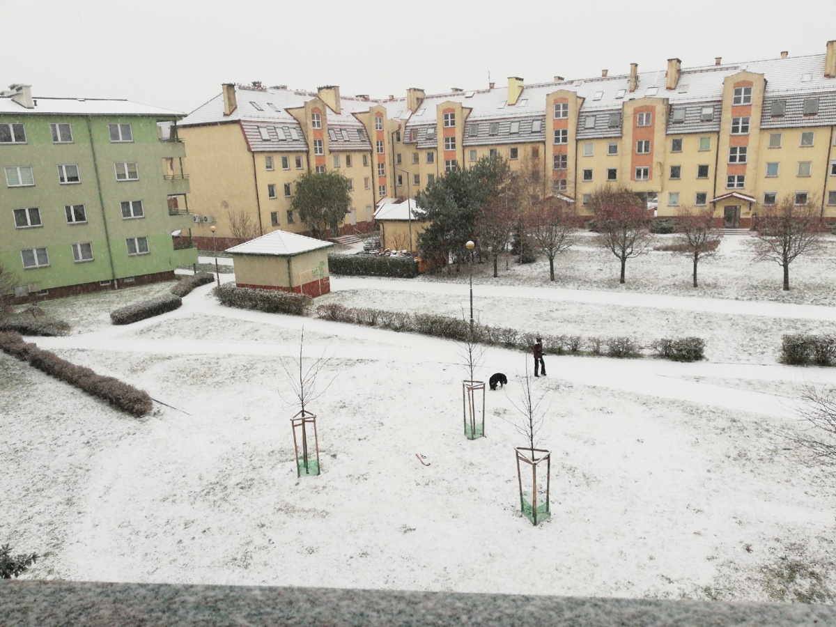 08dd66ec-7bb5-4be7-824b-5b309037c733