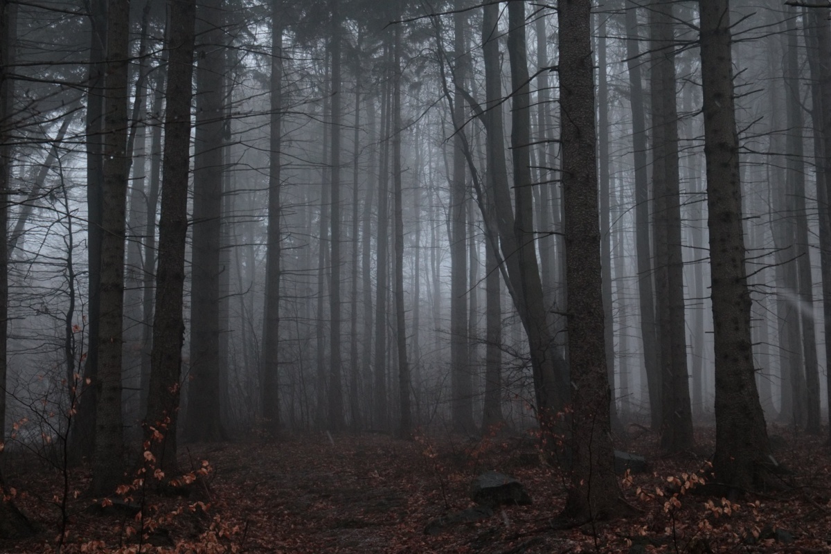 5becf3d4-1506-451a-983e-527ddd7bc199