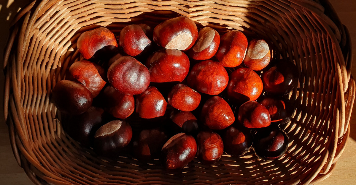 63f3f7b6-710c-40f6-b637-505dc0714e9c