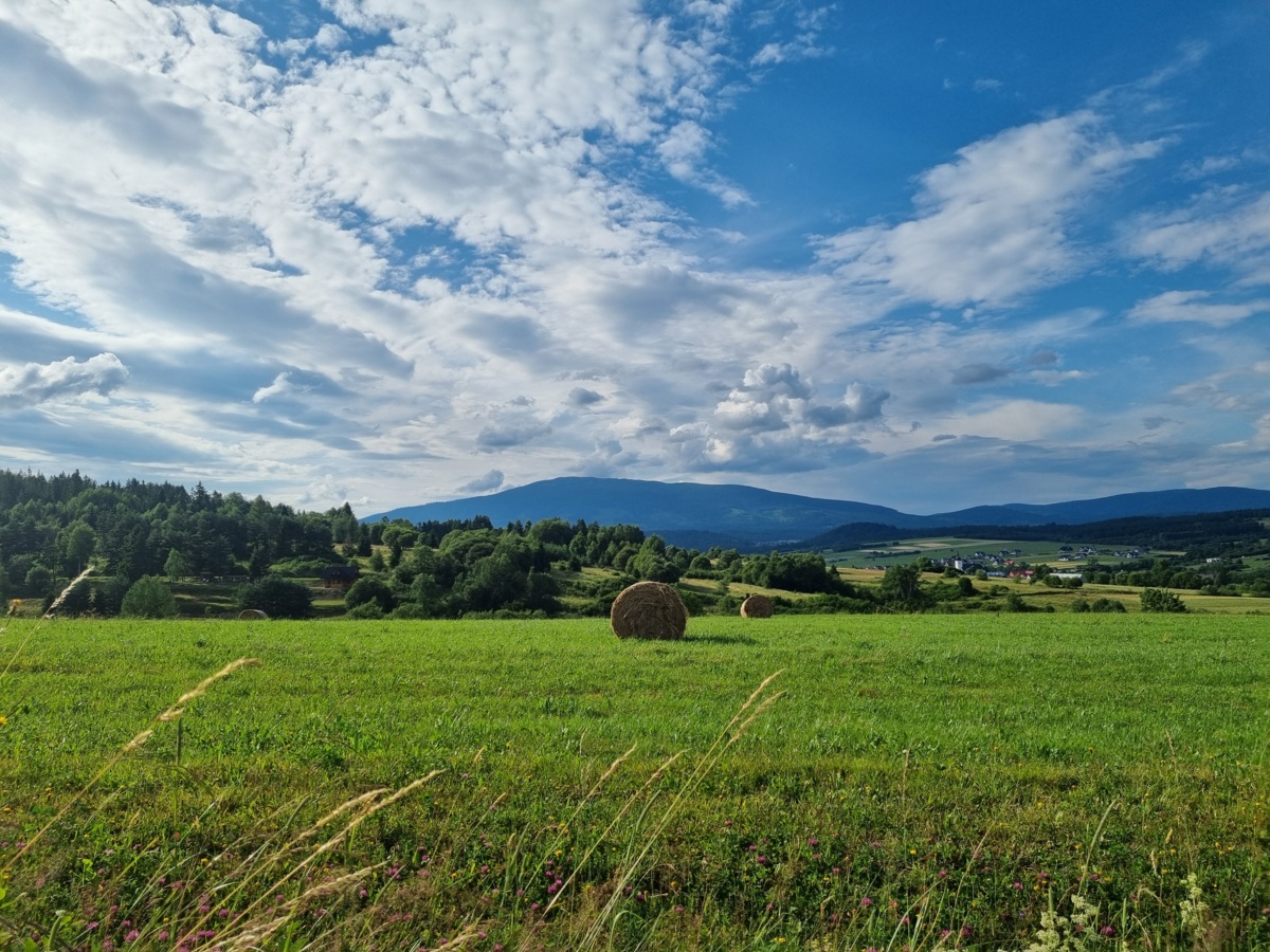 1a066743-9aae-4357-8e38-b90c65d327d1