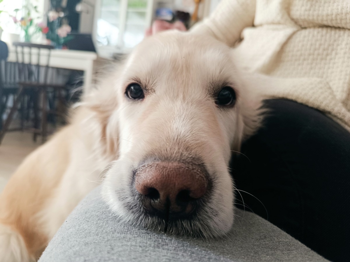 ad43d870-1e20-411b-982c-55eed577d27c