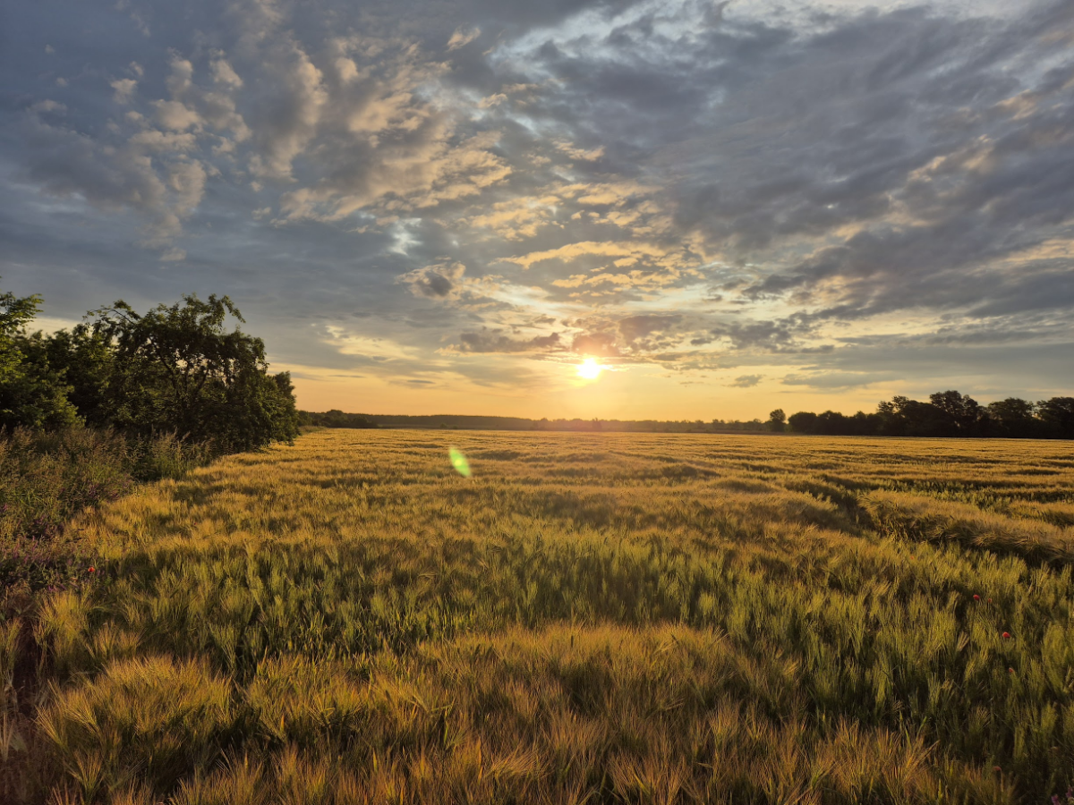 205db38a-f9af-47f3-8183-285c23faa7ec