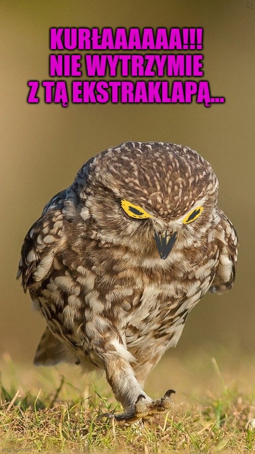 278738b5-0a40-404d-b393-0090133b86a2