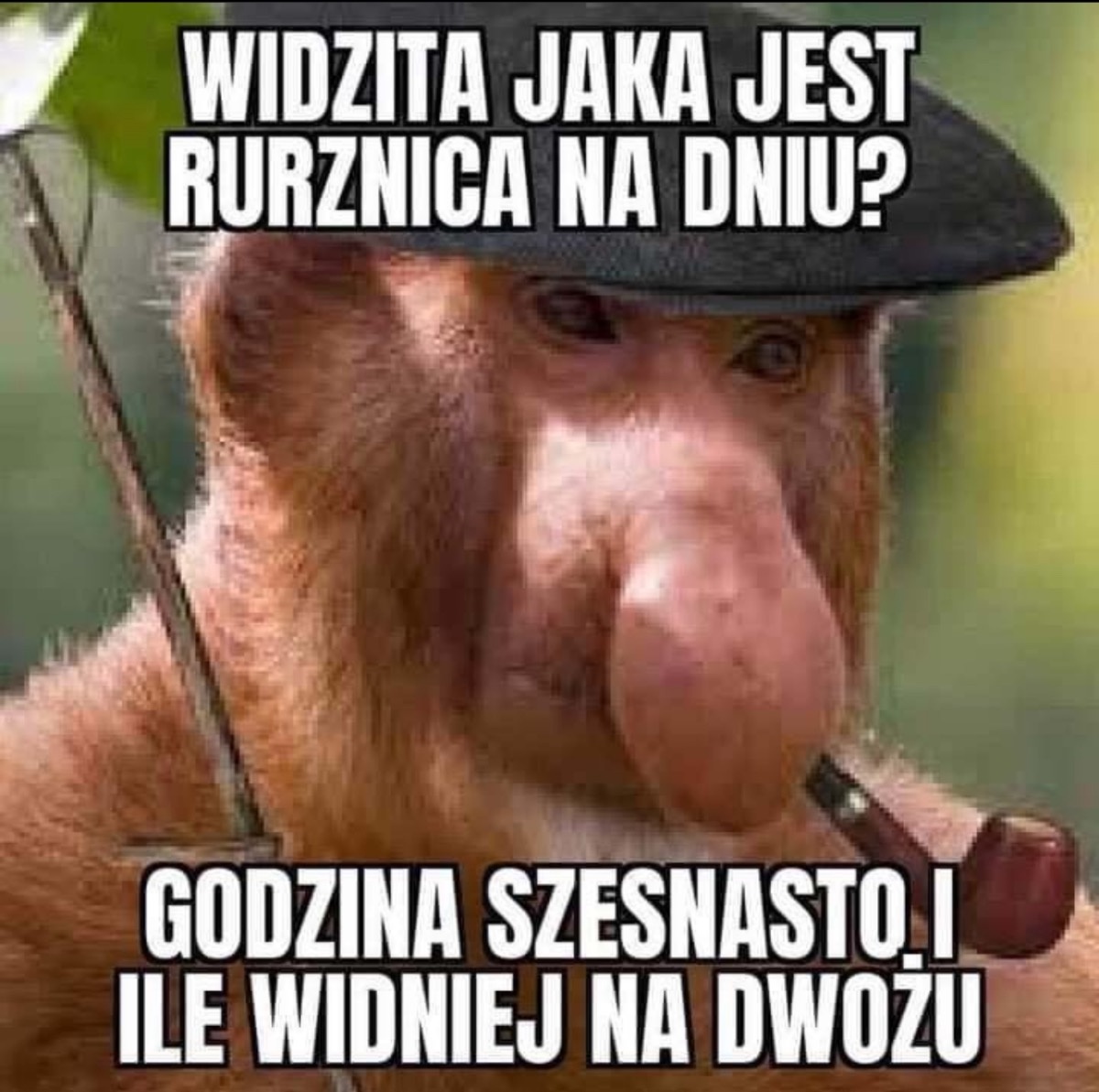 facd2bf9-8860-494f-a01f-a0c42e6d81eb