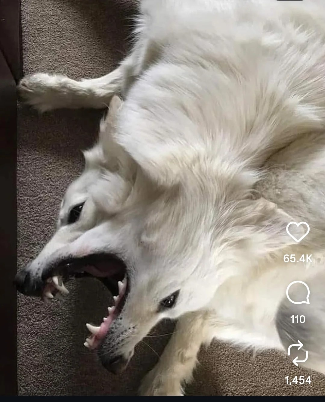 ffa03353-e268-44bc-988e-3d03b71dcc5a