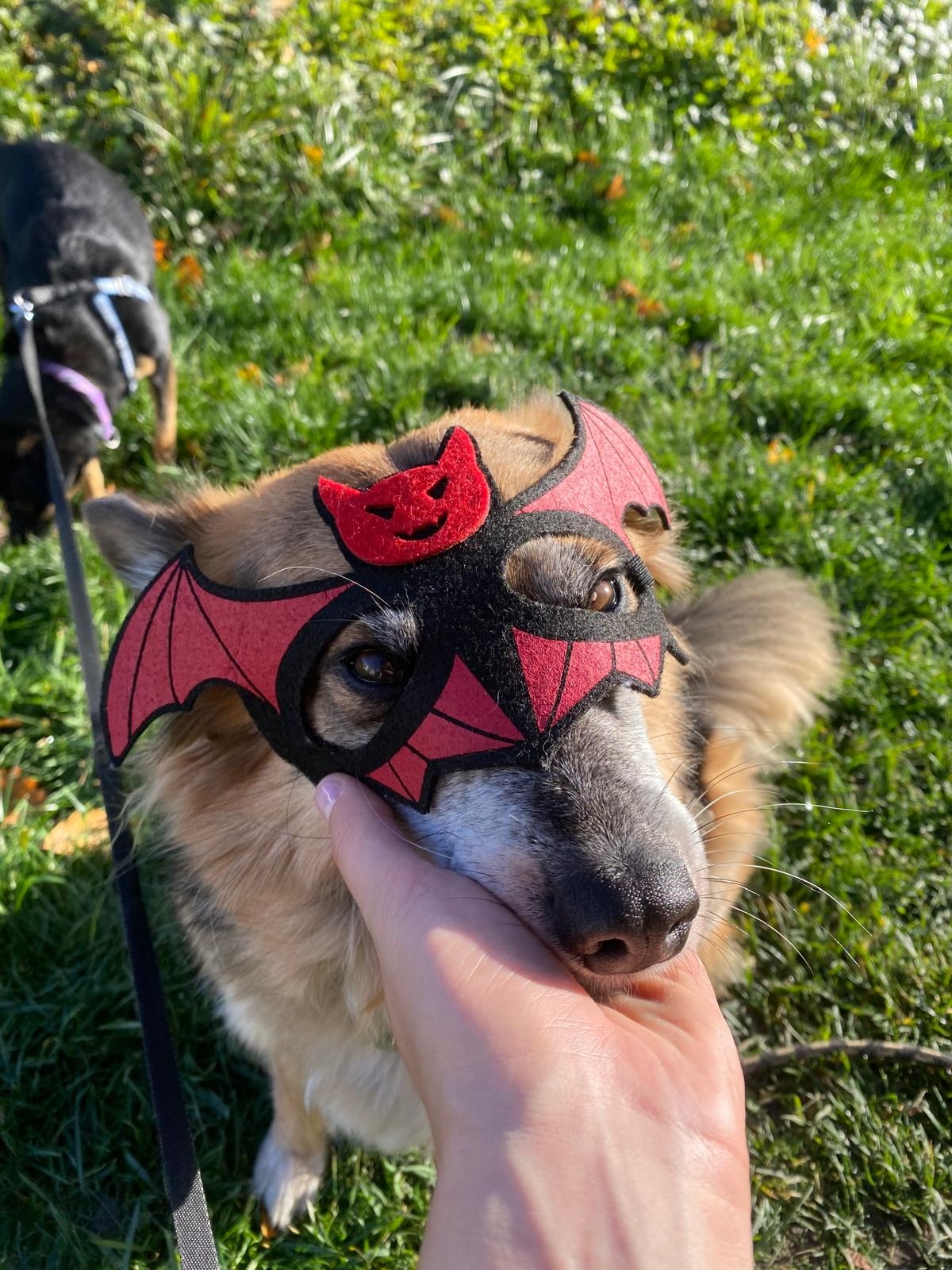 d8bc6462-befd-4d4b-81b3-93e314f398bd