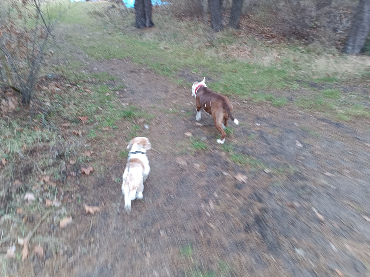 88bcc1ae-dd30-4349-a7aa-543bef29ff95