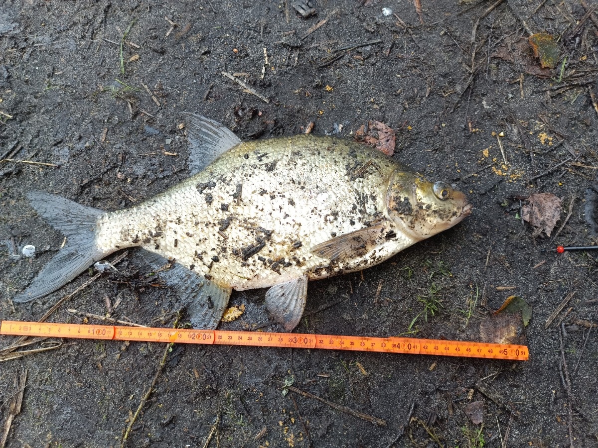 beeabd0a-7896-4455-9eb0-2f1dea698d0e