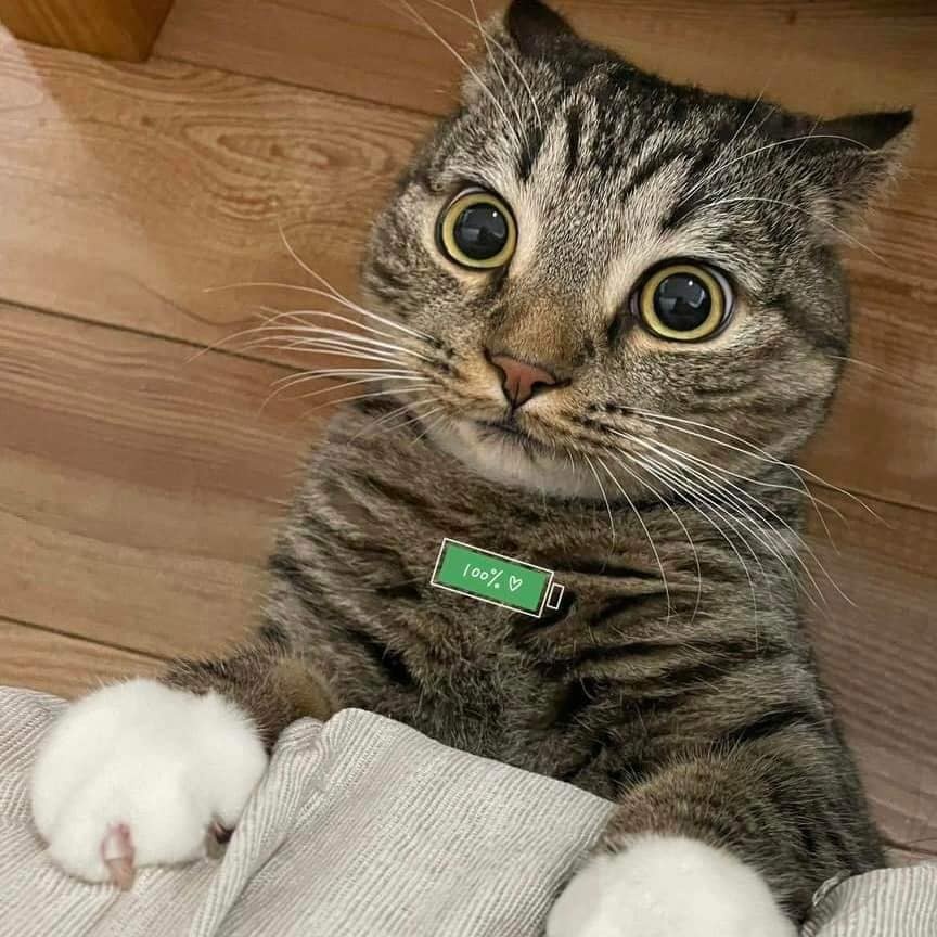 60ee9587-1a8b-430b-8afe-1ade02df5c86