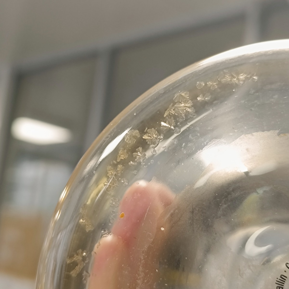 c2ffb86a-d9e5-4c7f-9895-12ef6078d1ee