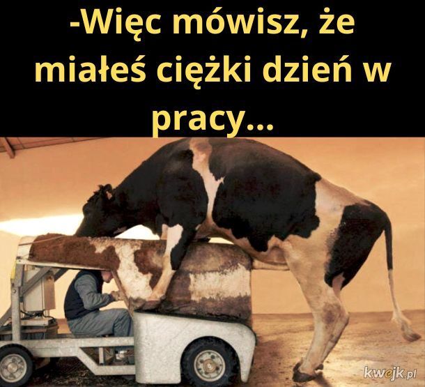 64c50206-3f2d-48c6-a8af-f43a91d8730b