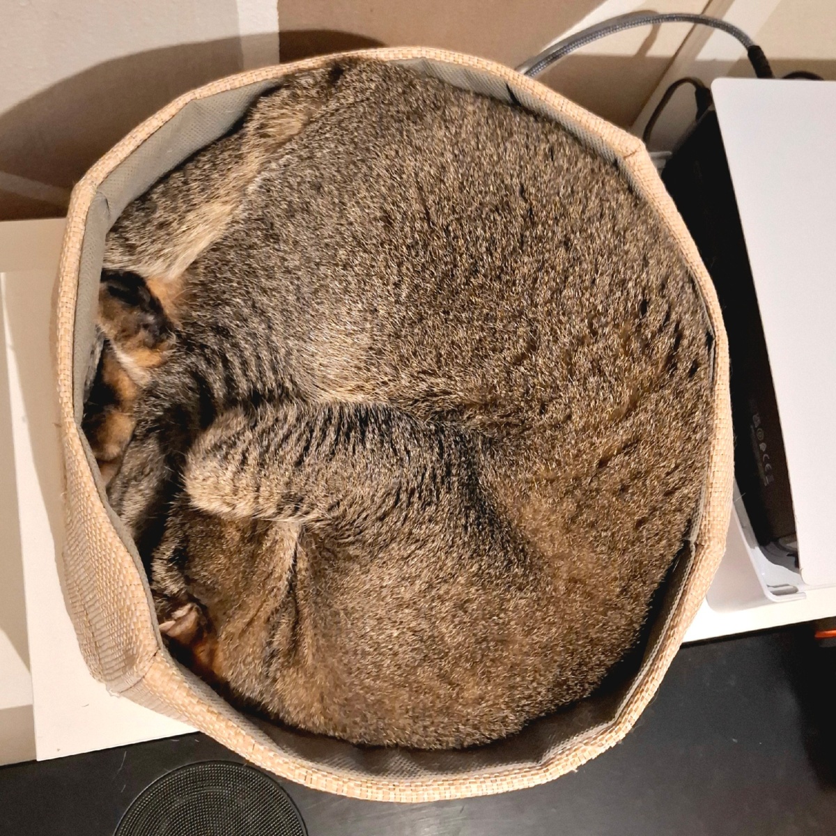 6f7e943f-af2f-4549-a8ff-9669e5f27f8c