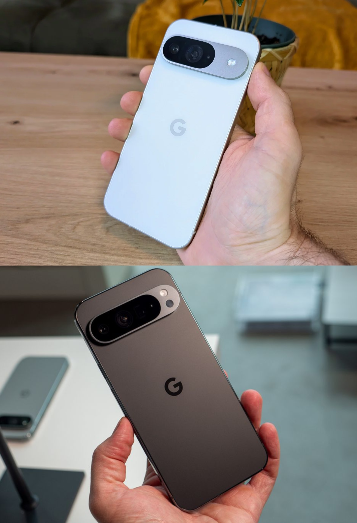 ed357e8f-1b86-47bd-8e11-a108be60beb4