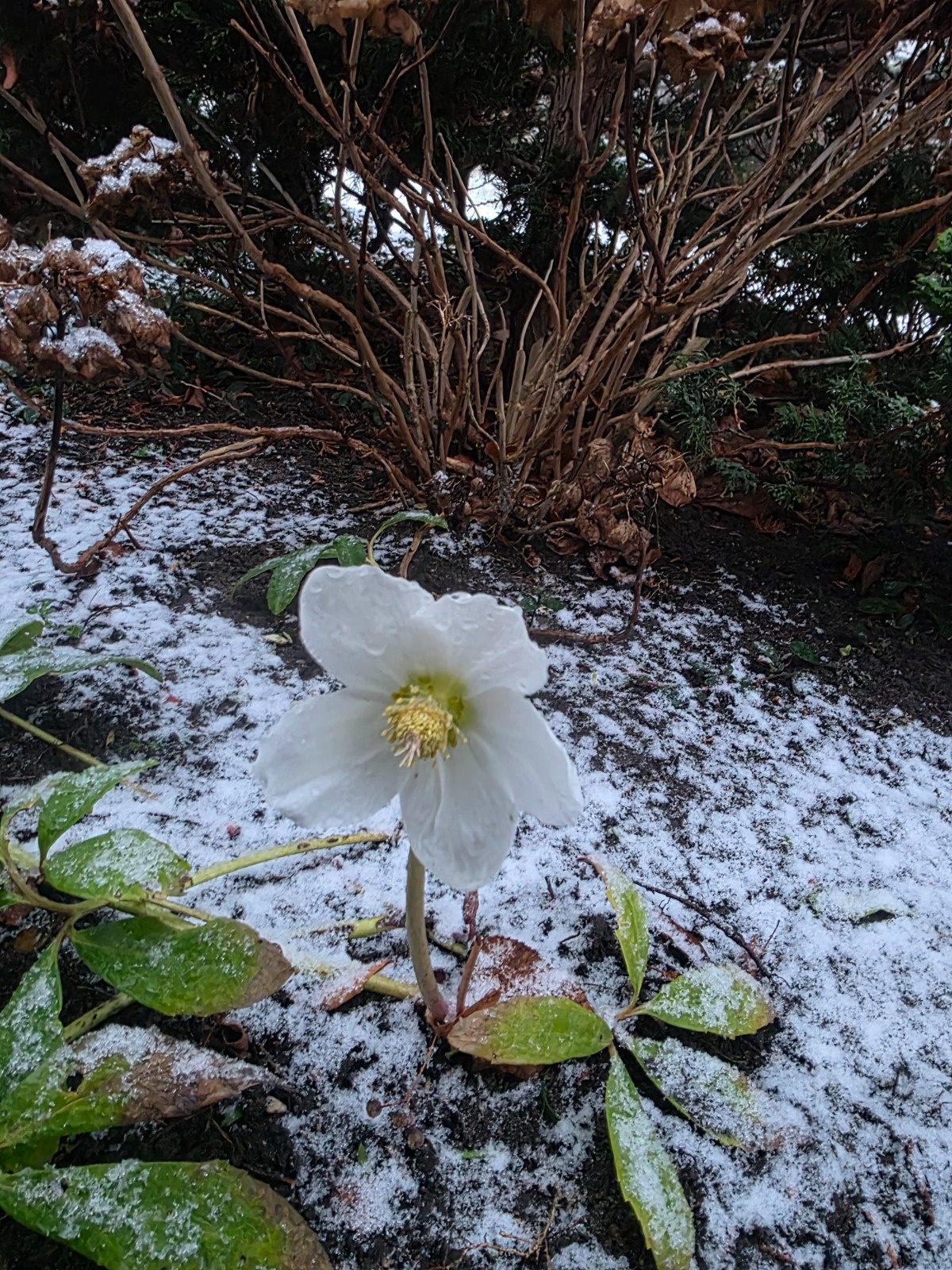 647e8dbd-b320-4625-9507-7ea8403aa16b