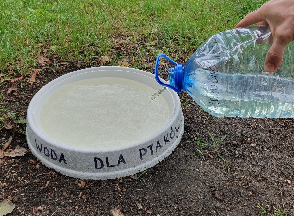 bc0f5d03-b628-4d1f-8a6b-b3a5c29de8cb