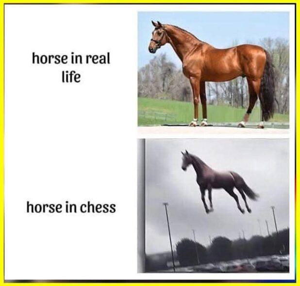 108462c9-85e3-4ee5-81e3-fb504b84d015