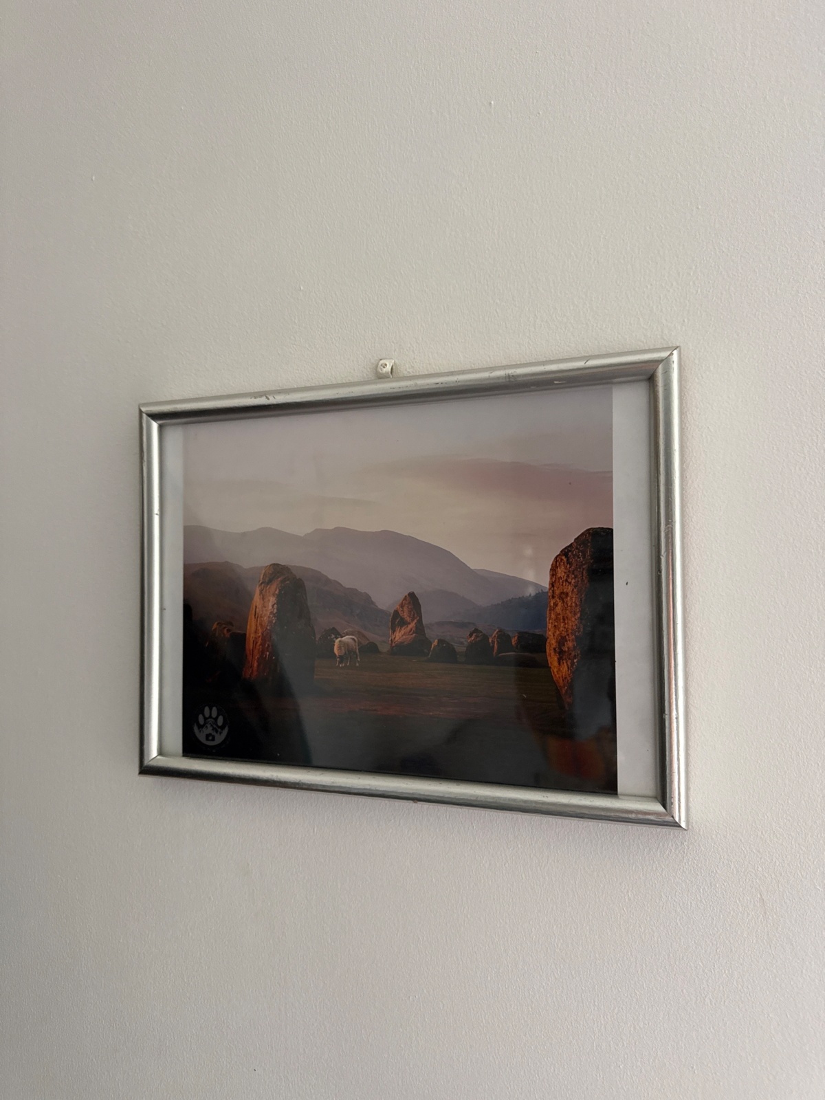 cc9e5f8e-8ba2-49ee-9c80-d31588594a6d