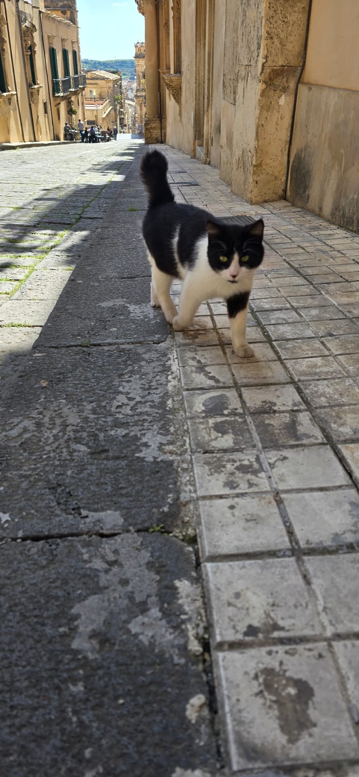 97b689fc-2e12-4a17-a6b1-eaf6d0e3e007