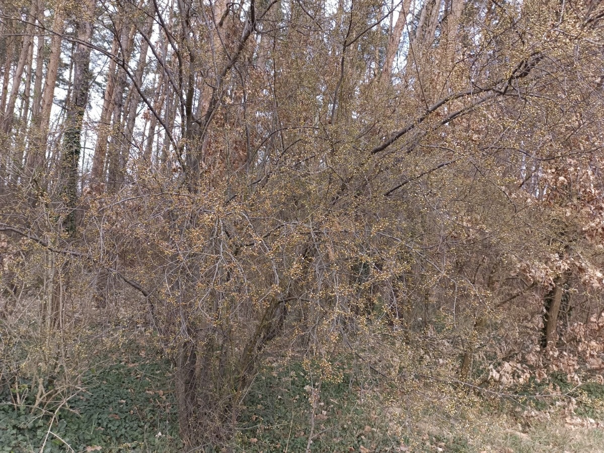 e9bca9ae-0b4c-4b86-b4a9-0f6ea90f6718