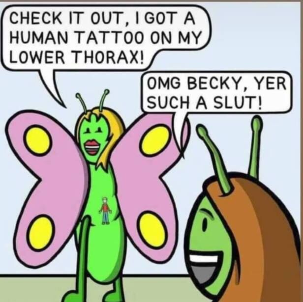 1b85f3a5-eca5-443d-bf9a-47fa69750ab0