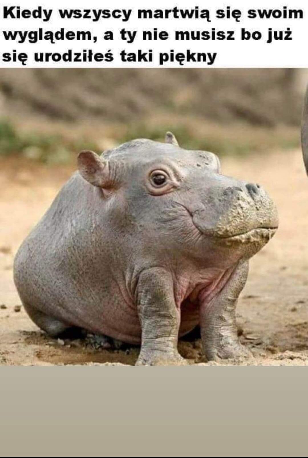 aa89ba7c-267c-48cb-ba06-445ec83c9504