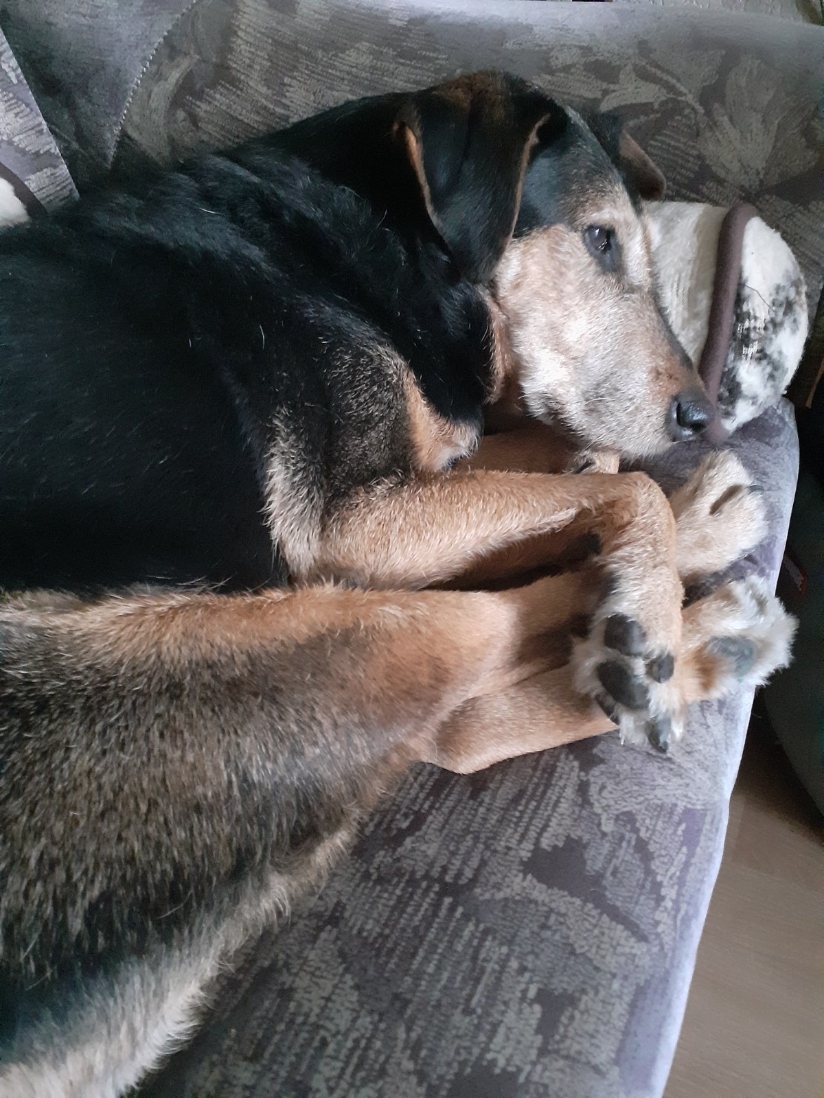 c703d966-1c76-44a4-9fef-fbf87dfaad36