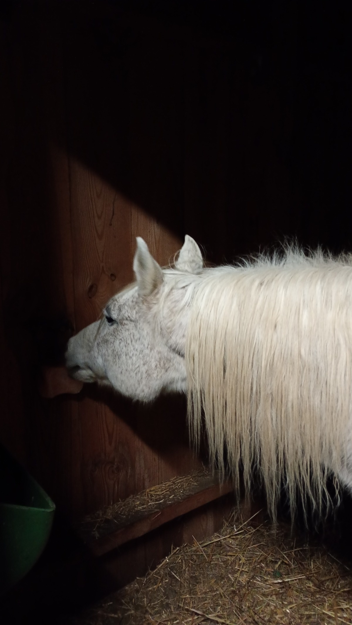 590fde87-4193-4b1b-ac22-463cc5d06c05